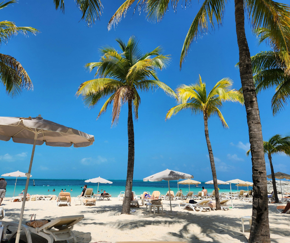 Vai Beach, located on the eastern coast of Crete