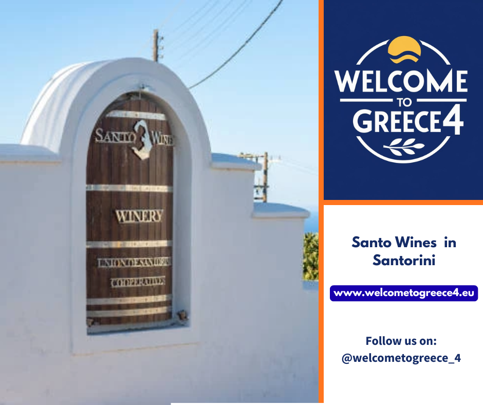 Santo Wines