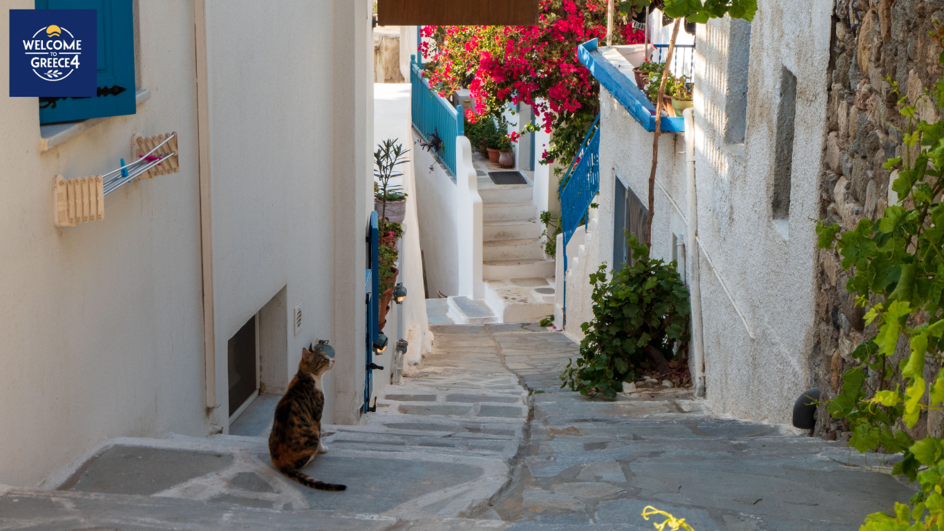Naxos Chora